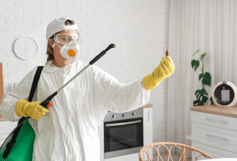 control de plagas en Madrid