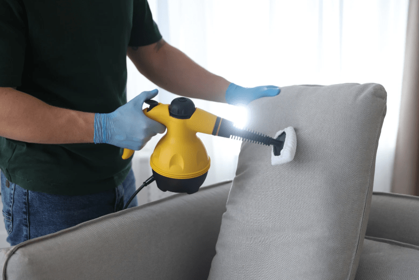 control de plagas en Madrid